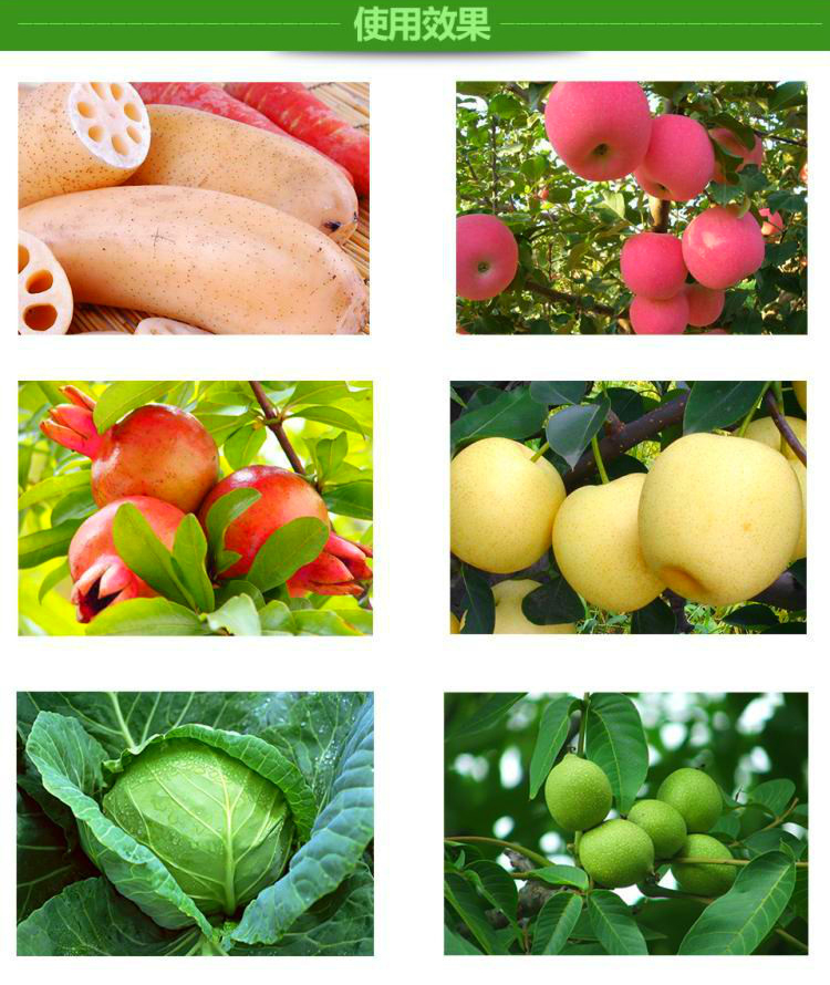 蔬菜使用什么有机肥料做好