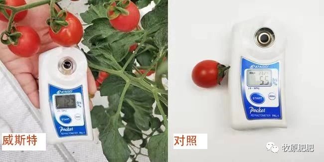有机肥厂家.jpg