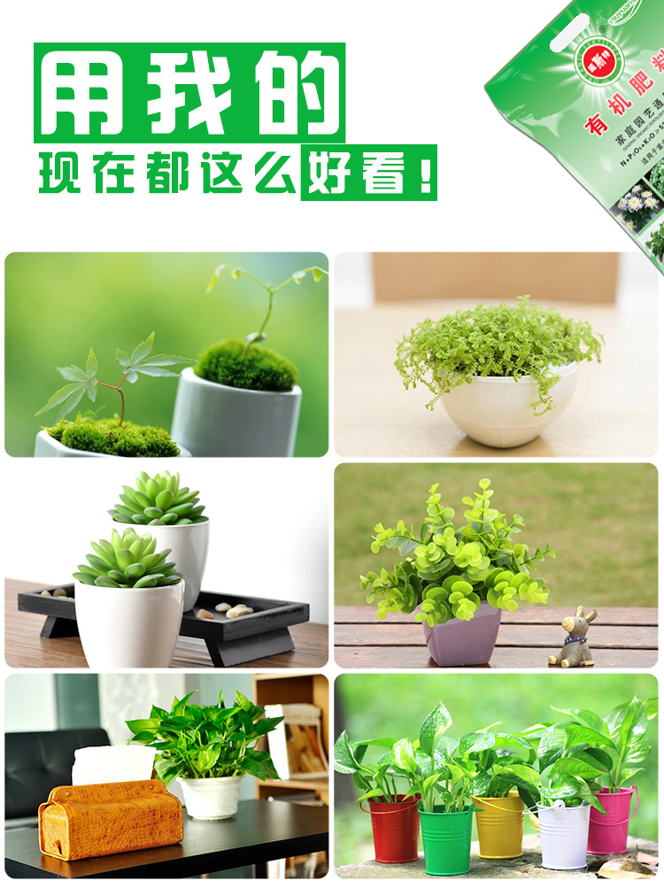 花卉盆栽植物用有机肥好处