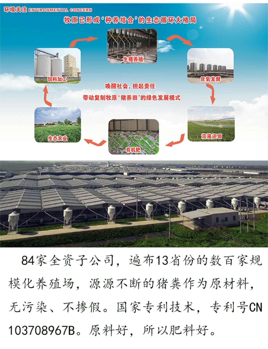 河南猪粪发酵生物有机肥制造厂家