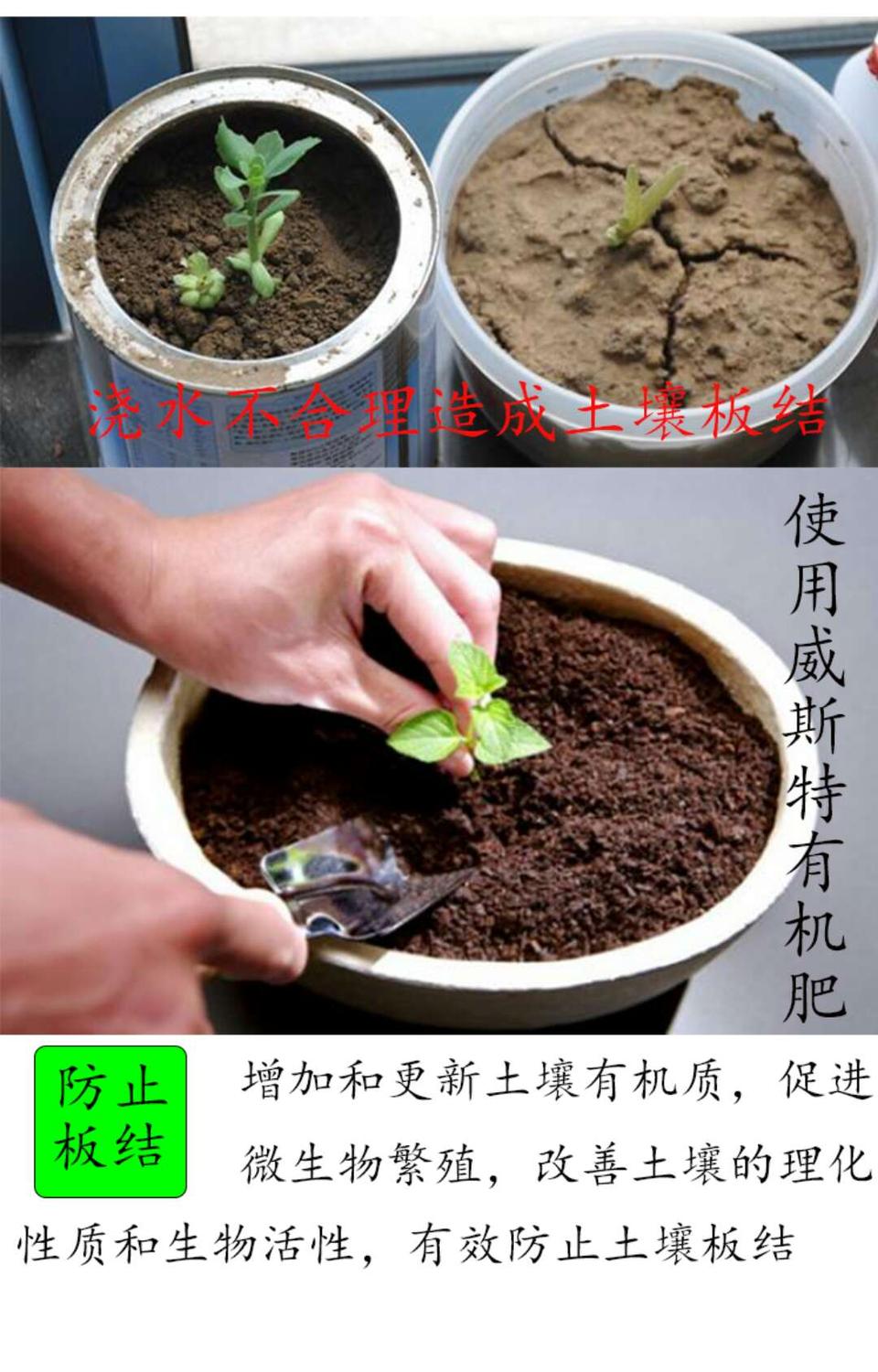 土壤改善调理有机肥