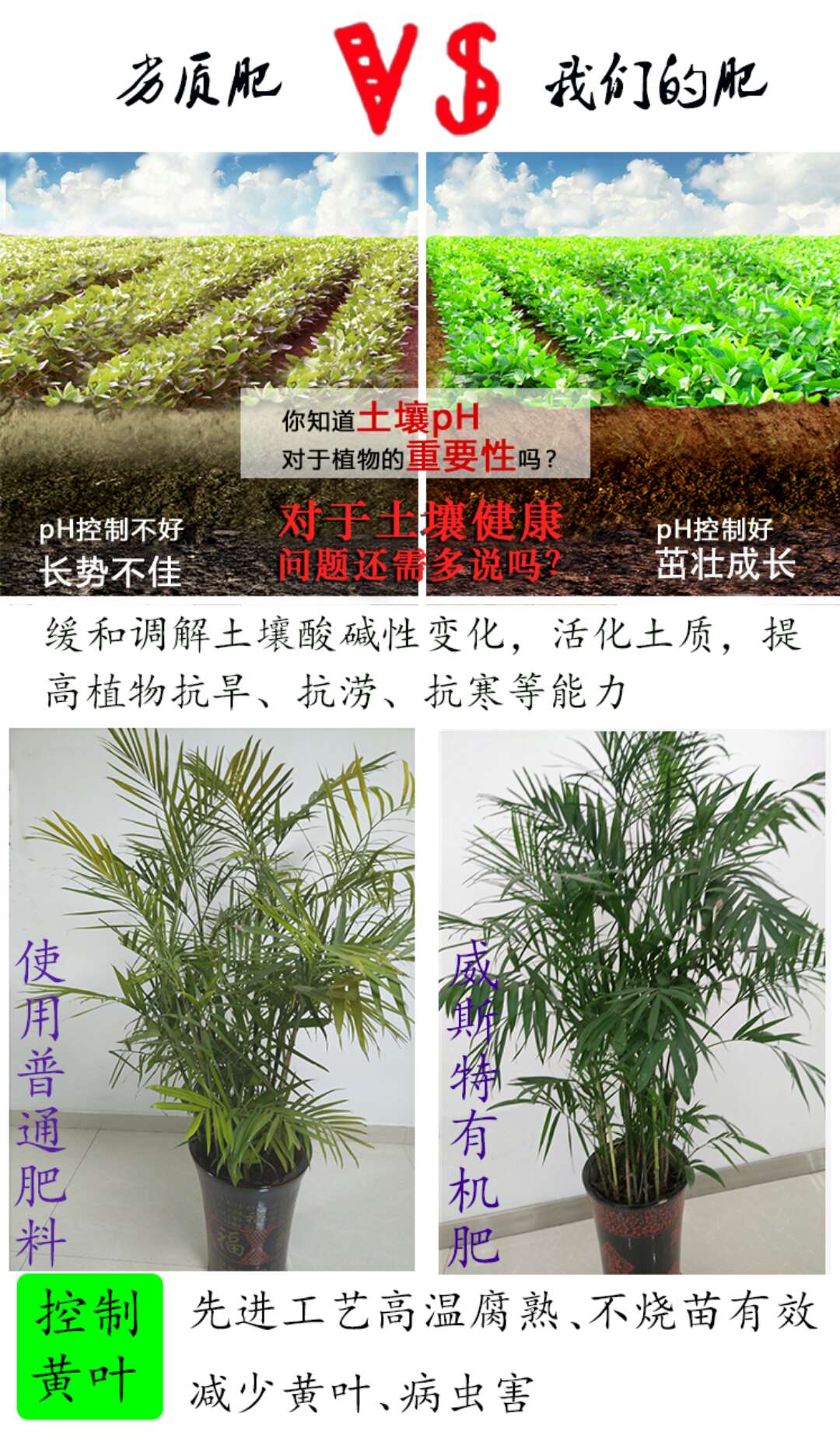盆栽用什么有机肥料