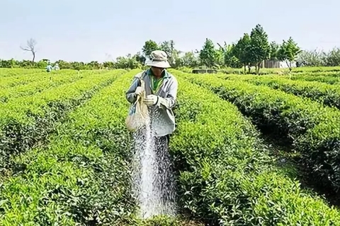 农业有机肥化肥 农业有机肥化肥