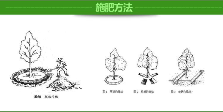 生物有机肥的正确使用方法
